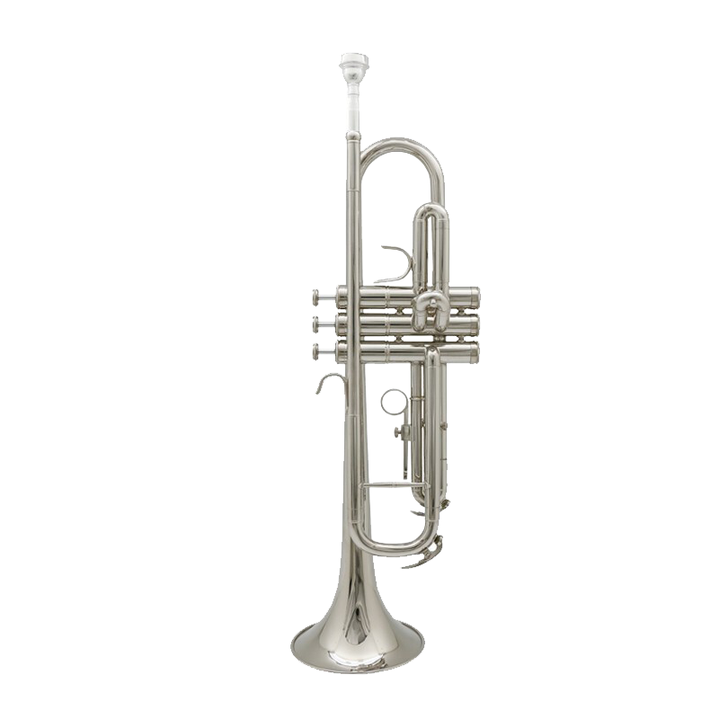 Jinbao JBTR-300 Small Instrument in B Flat Key, for Children Beginners, Performance And Grading, Brass Nickel-Plated Western Wind Instrument