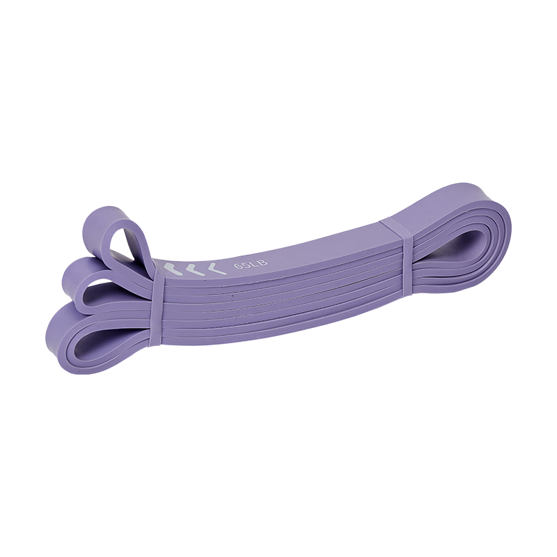 Keep Elastic Resistance Band, Strength Training for Men And Women, Full-Body Pull Rope, Pull-Up Assist Band, Yoga Strap, Purple, 65 Pounds