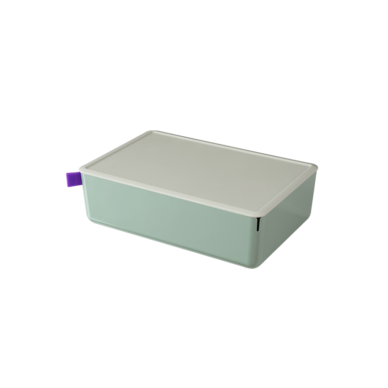Deli [Volume 3.6L] Large Desktop Storage Box with Lid, Dust-Proof, Pen Holder, Stationery Organizer, Cosmetic Mini Box, Small Item Storage Container, XDM12 Gree