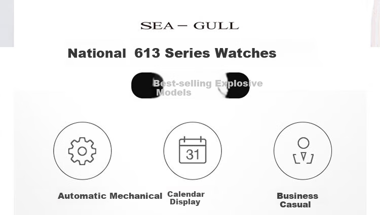 SEAGULL Men's Automatic Mechanical Watch with Date Display, Leather Strap, Birthday Gift for Men, Model 6613 White Dial Roman Numeral 2