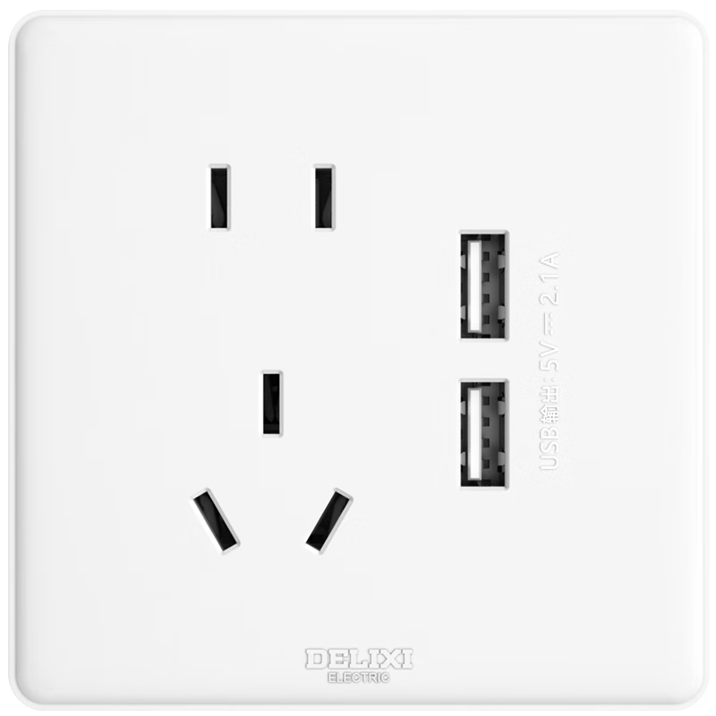 DELIXI CD815 Series 2-Gang USB Five-Hole Socket QSE86ZS2U