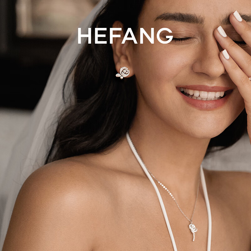 HEFANG Elegant Rose Stud Earrings Jewelry Birthday Gift [520 Valentine's Day Gift] for Girlfriend