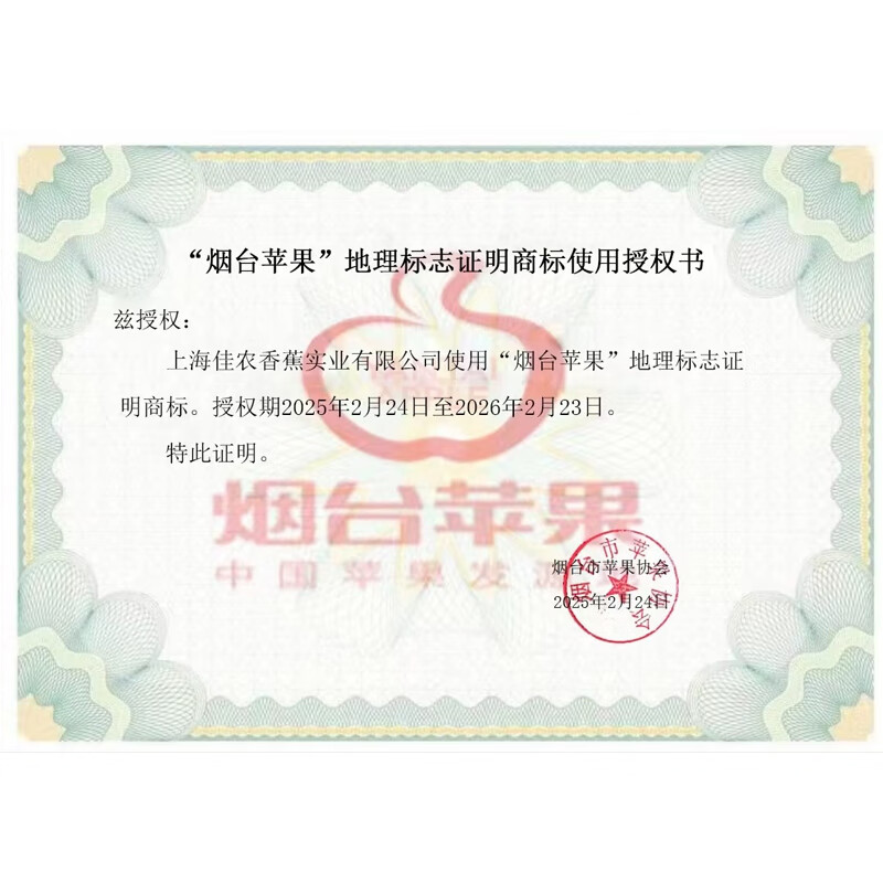 佳农 烟台红富士苹果 净重10斤 一级果 单果重160g+ 生鲜水果