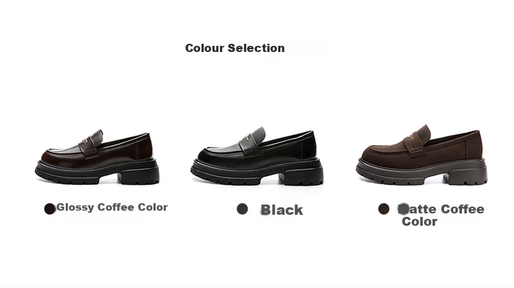 Dusto Thick-Soled Loafers for Women, 2026 New Spring Collection, British Style Versatile Black Leather Shoes, Commuter Flats 4