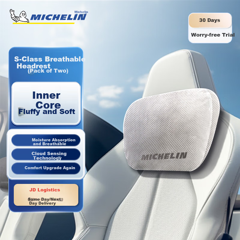 MICHELIN C-01290143