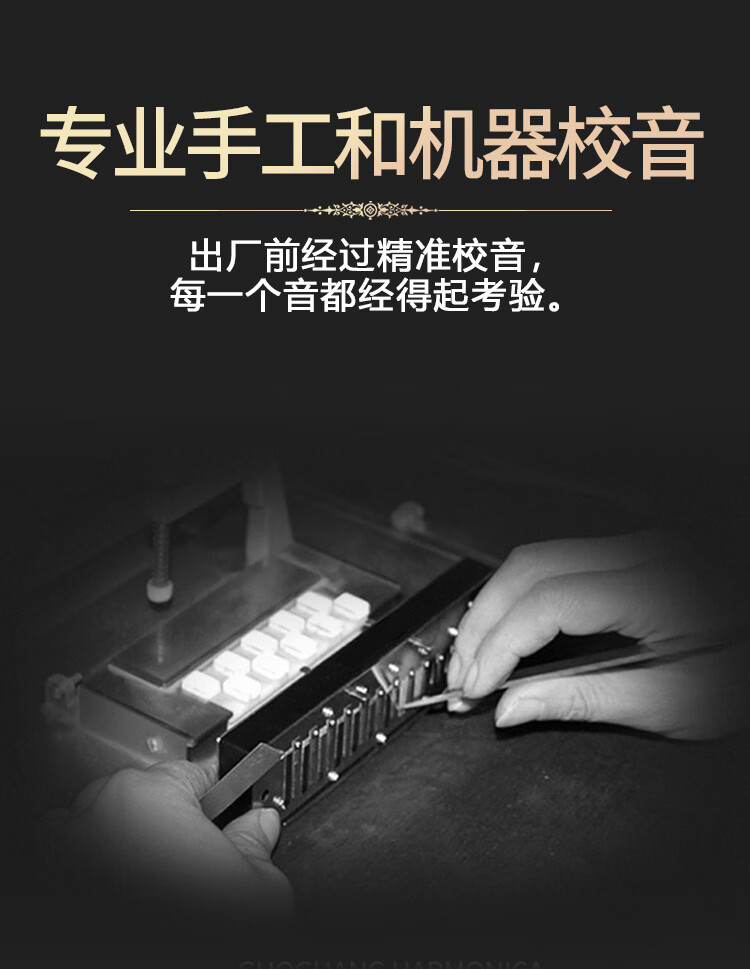 Guoguang 10-Hole Collector's Edition Blues Imported Reed Harmonica (Silver, Copper Reed Plates, Glasses Case) 8