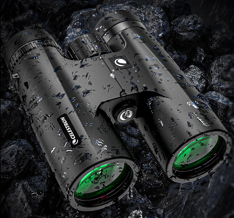 Celestron Lejian 10X42 High-Definition High-Power Low-Light Night Vision Portable Binoculars for Mobile Phone Outdoor Concert Sports Black 8