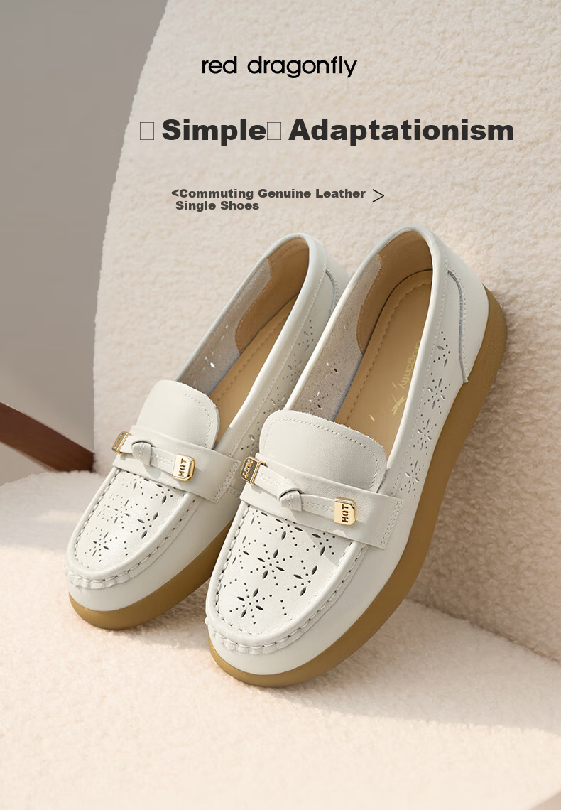 RED DRAGONFLY Soft-Soled Women's Flats, Spring And Summer New Style Women's Shoes, Slip-On Hollow-Out Flats, Middle-Aged And Elderly Shoes, WTB25049 Black, Size 38 1
