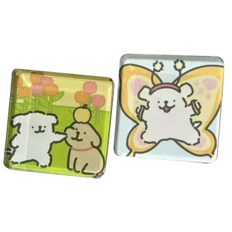 Aimo Art Handmade Acrylic DIY Refrigerator Magnet Kit with Magnetic Sheets, Transparent Square Magnetic Cartoon Stickers, 6 Pieces