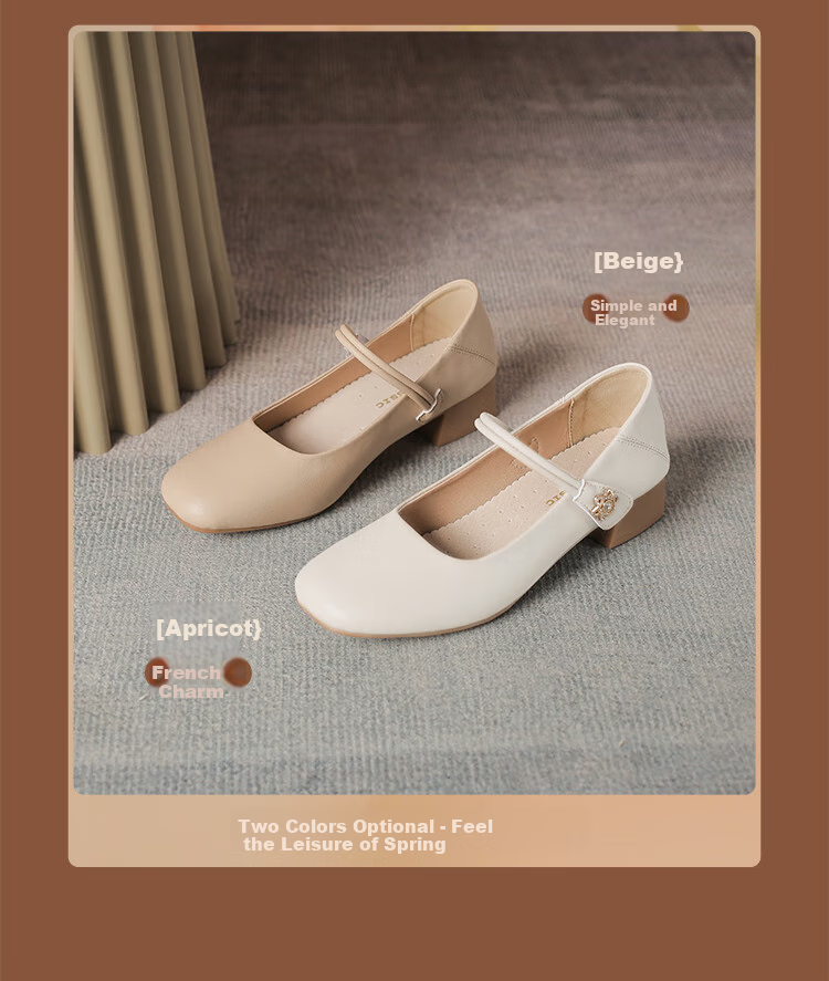ZHR Women's Single Shoes Elegant One-Strap Mary Jane Shoes with Chunky Heel Fashionable Women's Shoes AH506 Apricot Color Size 36 4
