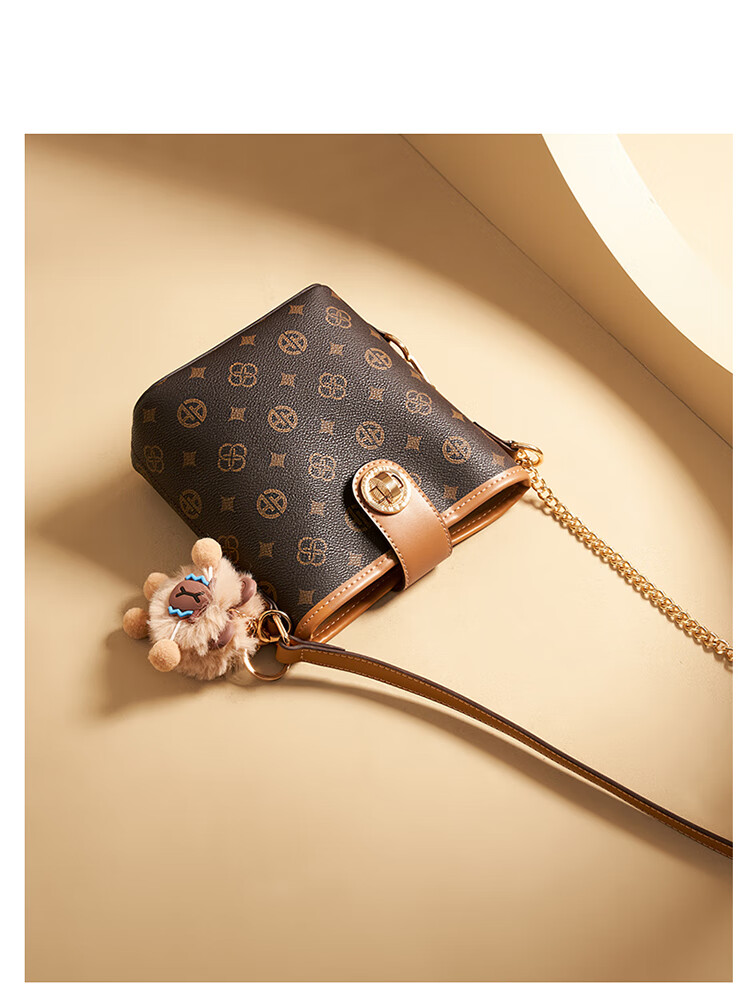 Aokang Women's Handbag 2026 New Trendy High-End Crossbody Shoulder Bag Light Luxury Bucket Bag Birthday Gift for Girlfriend Or Wife 3