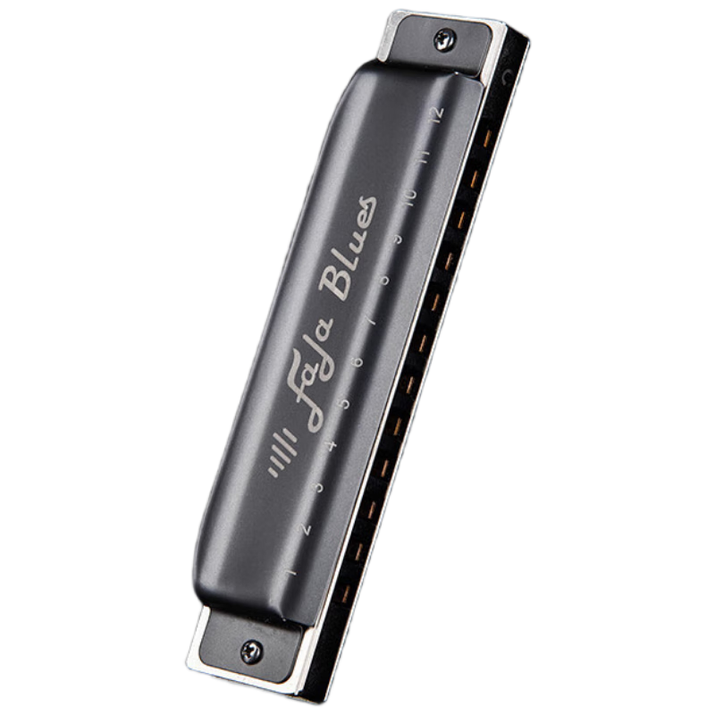 EASTTOP Blues 12-Hole FALA Harmonica Gray F1201