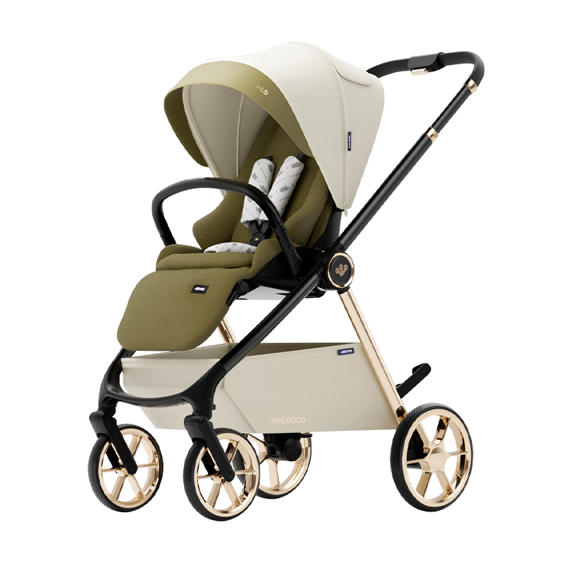 Welebao Whale Spirit Stroller, Reclining And Sitting Positions, for Ages 0-3, Newborn Shock-Absorbing, Reversible, Lightweight, Foldable, High Landscape View