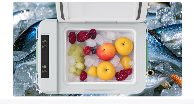 QIXUAN Compressor Refrigerator, 10L Capacity, Suitable for Car And Home Use, Freezing And Refrigeration, for Dormitory, Office, Outdoor, Quick-Freezing Mini Fridge 2