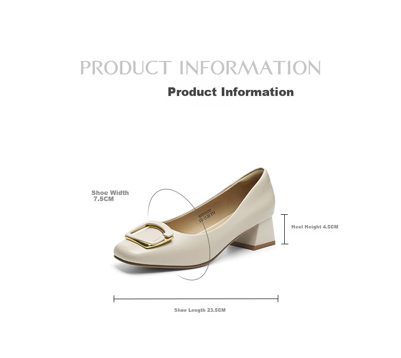RED DRAGONFLY Chunky Heel Pumps for Women, Spring And Autumn Women's Shoes, French Elegant High Heels, Commuter Leather Shoes WFB15027 Beige 40 2