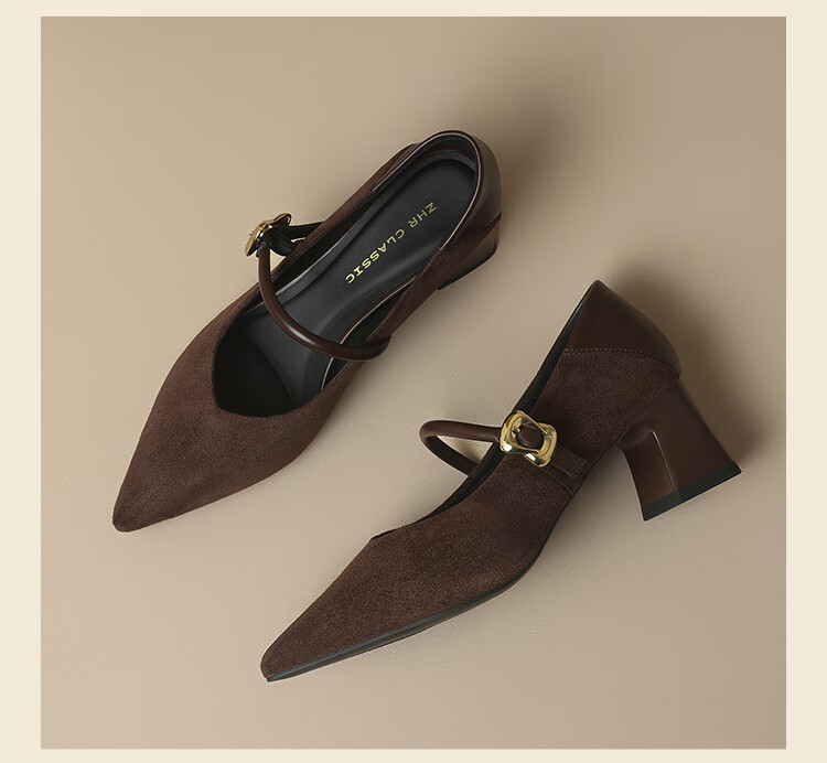 ZHR Zese Mary Jane Women's Pointed Toe Summer Single Shoes Shallow Mouth Chunky Heel One-strap Shoes BL379F Beige 37 15