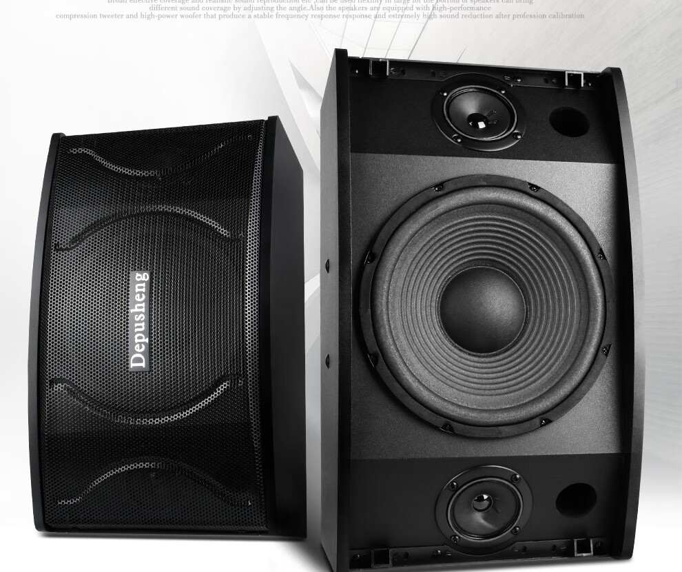 Depusheng D100 10-Inch Home KTV Speaker Professional Karaoke Sound System for Family, Private Rooms, Conference, Bar, Multimedia Teaching, Restaurant Floor-Standing Speaker Pair 4