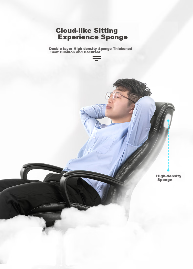 Deli Ecological Leather Executive Chair, Comfortable Home Office Chair, Ergonomic Computer Chair, 4913S 4