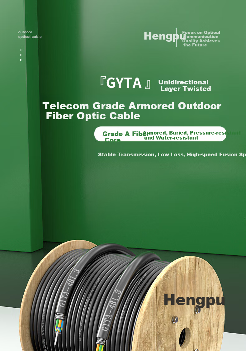 Hengpu GYTA Outdoor Optical Cable, Telecom-Grade National Standard Optical Cable, 24-Core Twisted Single-Mode Armored Outdoor Fiber Optic Cable, 1 Meter, HP-GYTA 1