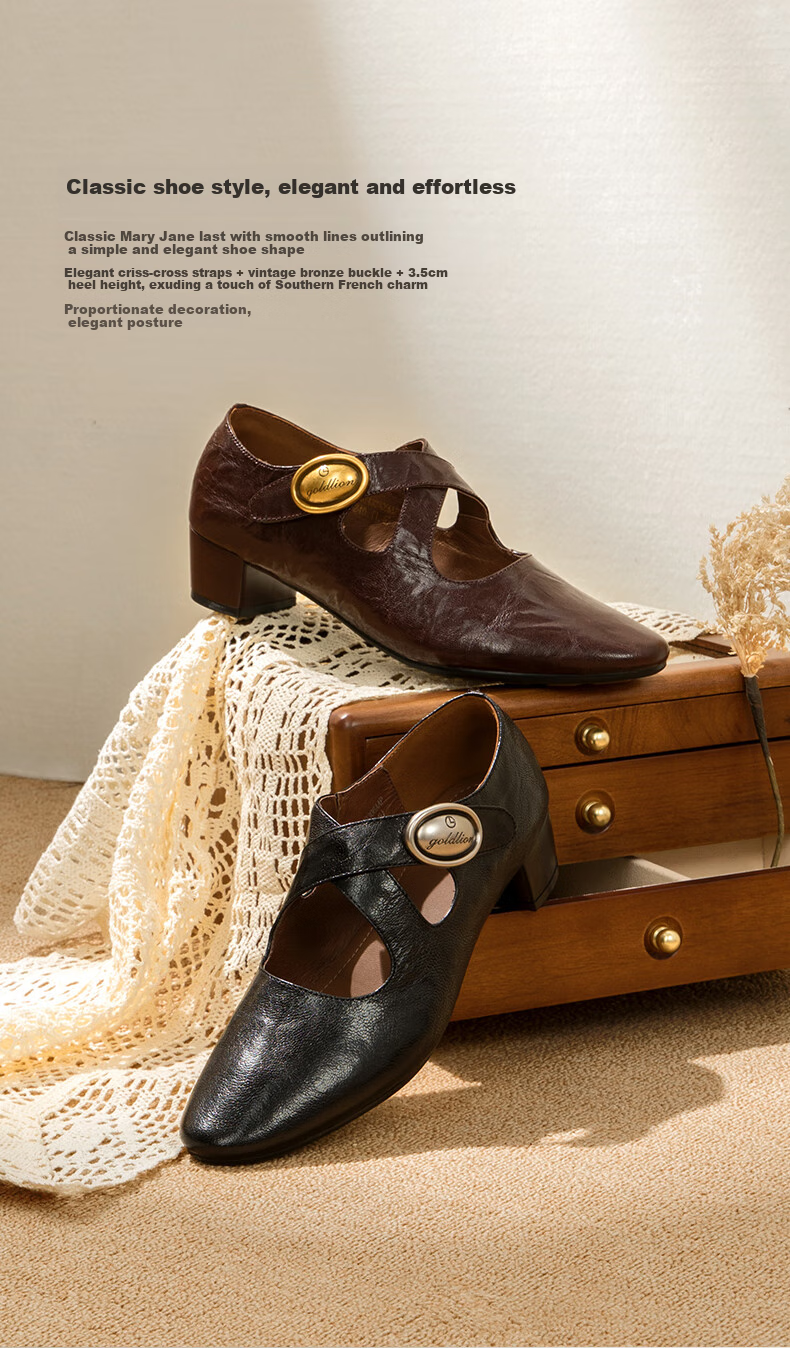 Goldlion Women's Shoes, Retro Small Leather Shoes, Hand-Grabbed Wrinkled Sheepskin, Chunky Heel Mary Jane Shoes for Women, G661430306, Coffee Color, Size 37 3