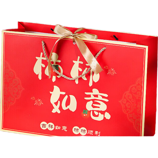 TaTanice Gift Bags, Pack of 5, Birthday Gift Bags, Holiday Favor Bags, Gift Packaging Bags, Packing Handbags