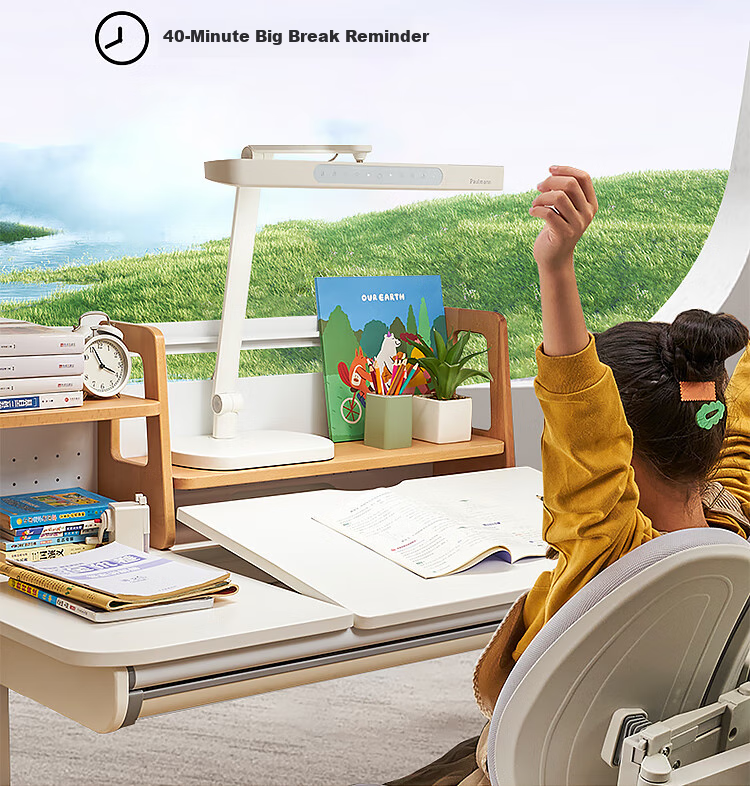 Paulmann P German Fairy Z Eye Protection Study Reading Desk Lamp, Desktop Full Spectrum LED Children's Reading And Writing Eye Protection Desk Lamp 29
