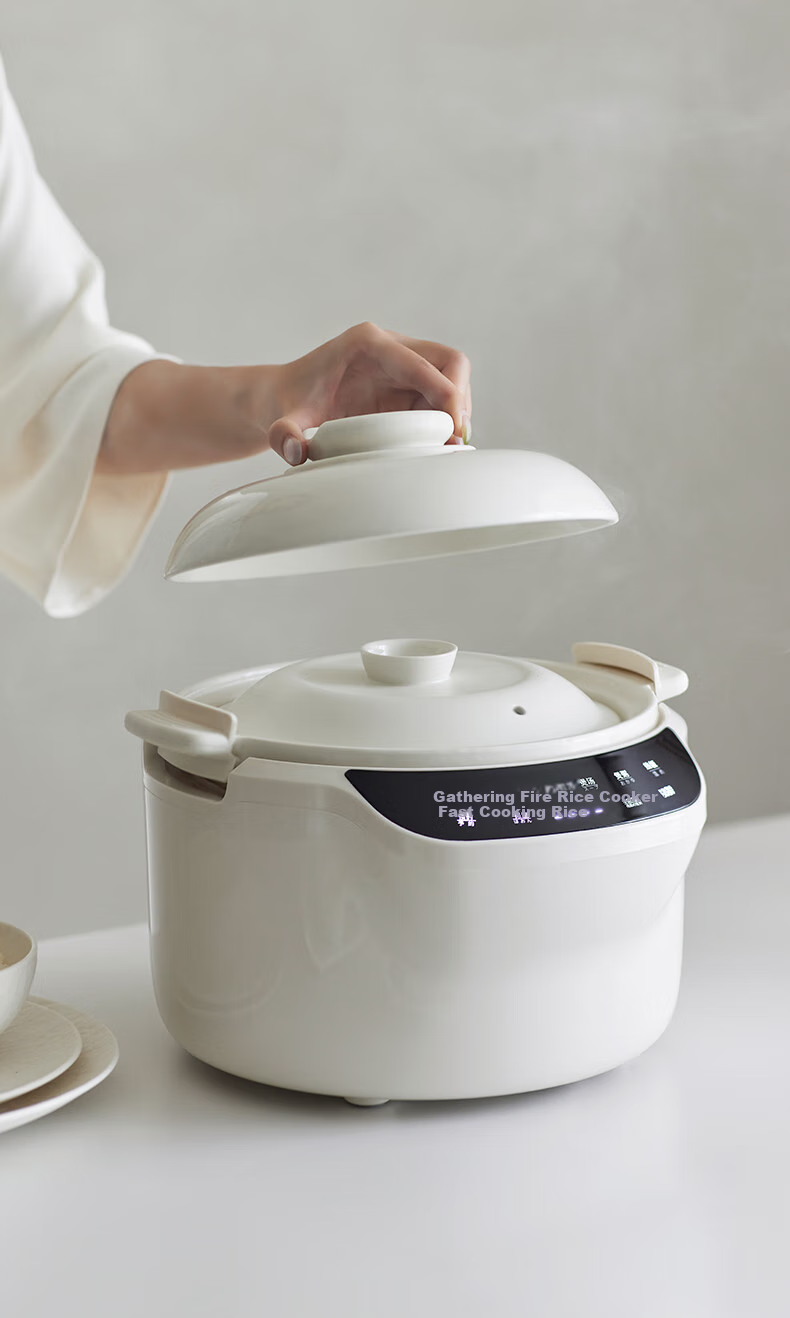 Olayks Ceramic Inner Pot Rice Cooker for 2-5 People, True Earthen Pot, No Coating, Smart Firewood Rice Cooker for Home Use, Claypot Rice Cooker, Soup Pot with Anti-Overflow Design, No Coating, 3L Capacity 13