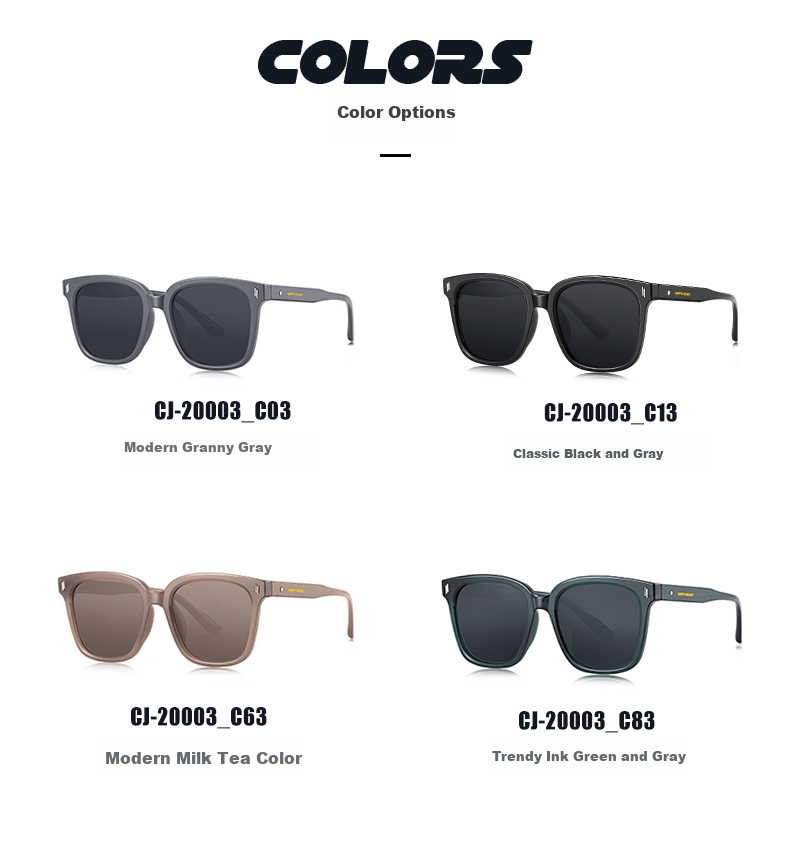 Chaersitaoxin Sunglasses for Men And Women, UV Protection Glasses, Large Frame Sun Protection UV Blocking CJ20003, Versatile Black C13 3