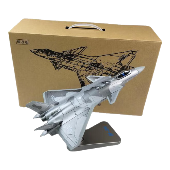 Feiyun J-20 Fighter Jet Model, Alloy Simulation J-20 Aircraft Model Ornament, Finished Product for Retirement Gift, Collectible Souvenir