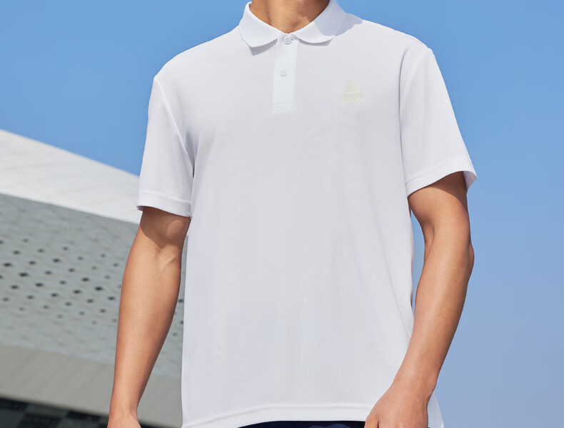 PEAK Polo Shirt for Men, Summer New Style, Sports Fitness Business Top, Breathable Casual T-Shirt, Loose Short Sleeve DF652241 15
