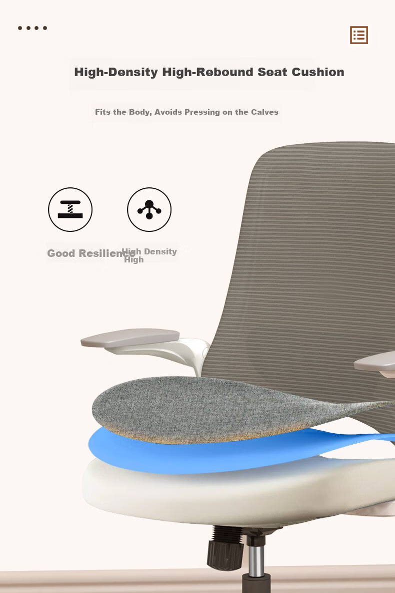 AURORA CELT Dolphin Computer Chair, Office Chair, Simple Mid-Back Adjustable Seat Chair with Flip-Up Armrests And Reversible Backrest 5