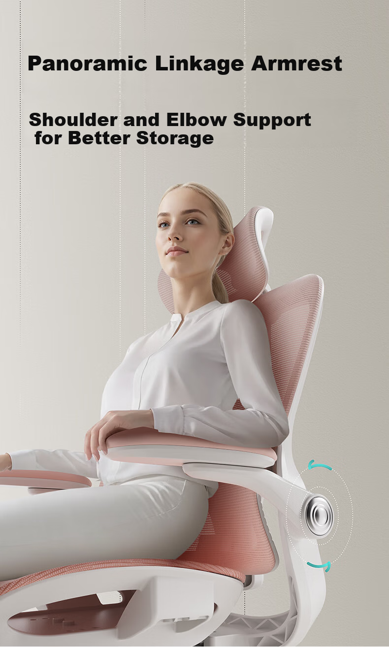 Hbada P2Pro Ergonomic Chair, Computer Chair, Ergonomic Seat, Office Study Gaming Chair, Desk Chair 14