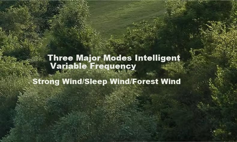 Amadana Japanese Three-Head Air Circulation Fan C8 Electric Fan Floor Fan Standing Home Quiet Remote Control Household Turbine Fan High Air Volume 3 Multi-Head Electric Fan First-Class Energy Efficiency 4