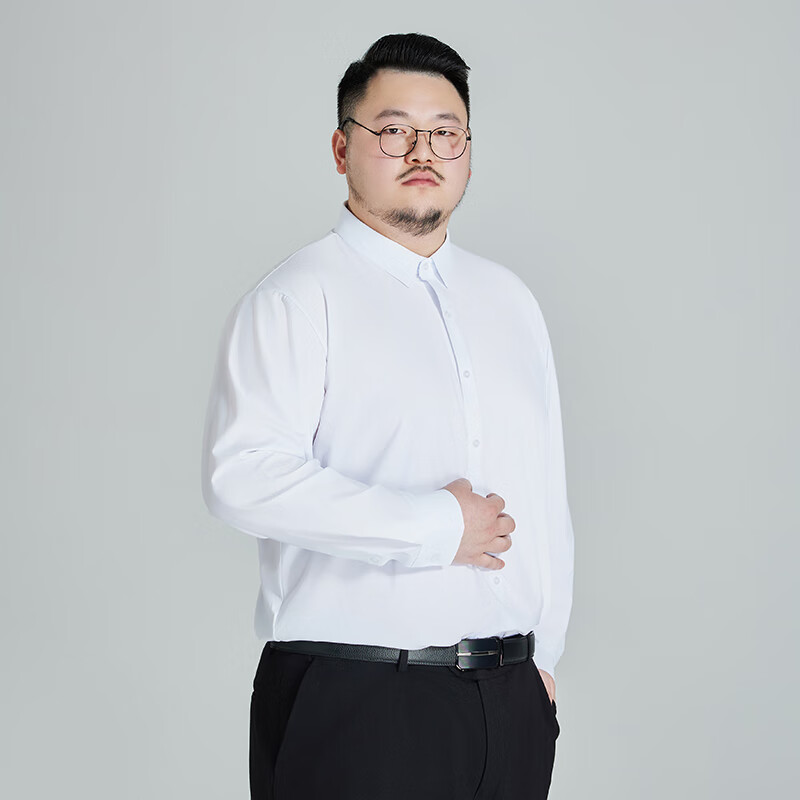 Ayoupang Plus Size Pullover Shirt, Wrinkle-Resistant Seamless Long-Sleeve Blouse, Business Casual Work Undershirt for Me 6