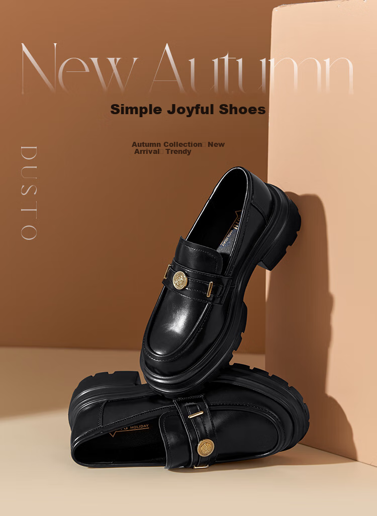 Dusto Women's Loafers, Spring 2026 New Fashion Casual Elegant Chunky Mid-Heel Slip-On Round Toe Shoes for Wome 1