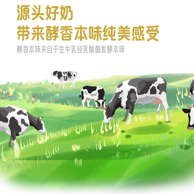 君乐宝简醇 0蔗糖 180g *12壶  低温酸奶 生鲜 健康轻食 