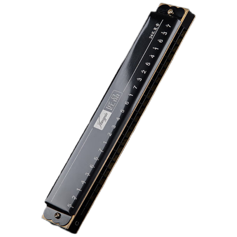 EAST TOP 24-Hole Polyphonic Harmonica in C Key (Note Positions Marked) JP24-1 Black, Suitable for Beginners' Teaching