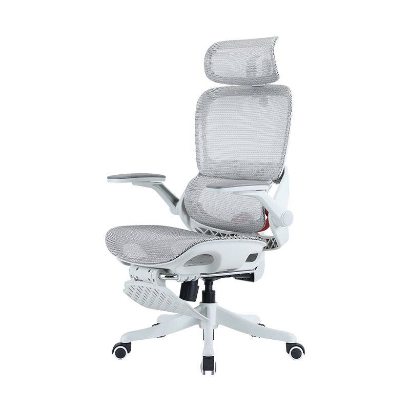 SIHOO B100Pro Ergonomic Chair, Office Chair, Computer Chair, Biomechanical Seat, Gaming Chair with 4D Adjustable Armrests