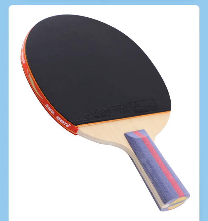 DHS H2006 2-Star Table Tennis Paddle Straight Handle Advanced Inverted Rubber Racket with Case 3