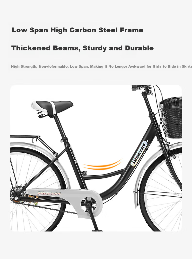 FG FLYING PIGEON City Bicycle, 24-Inch, Tubeless Solid Tire, Commuter Bike for Men And Women, Adults, Students, Children, Urban Retro Style 6