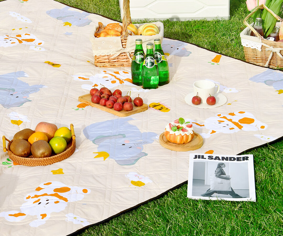 Deli Washable Picnic Mat, Outdoor Camping Ultrasonic Thickened Mat, Moisture-Proof Mat, Portable Tent Crawling Pad 2