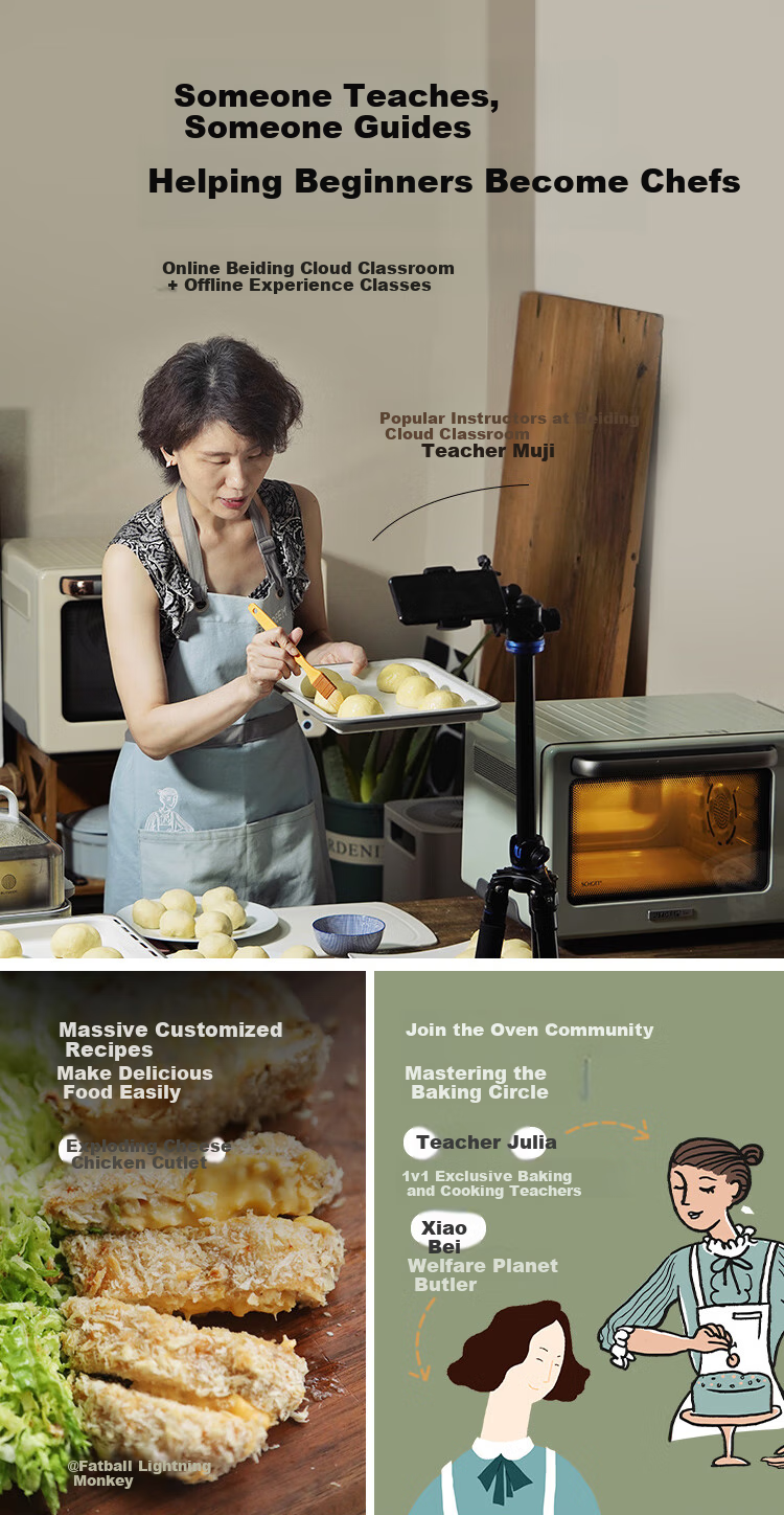 Buydeem Air Fryer, Multi-Functional Home Use Oil-Free Fryer, 4L Large Capacity with Visible Window, Healthy Precise Temperature Control Air Fryer F51, Light Pine Gree 15