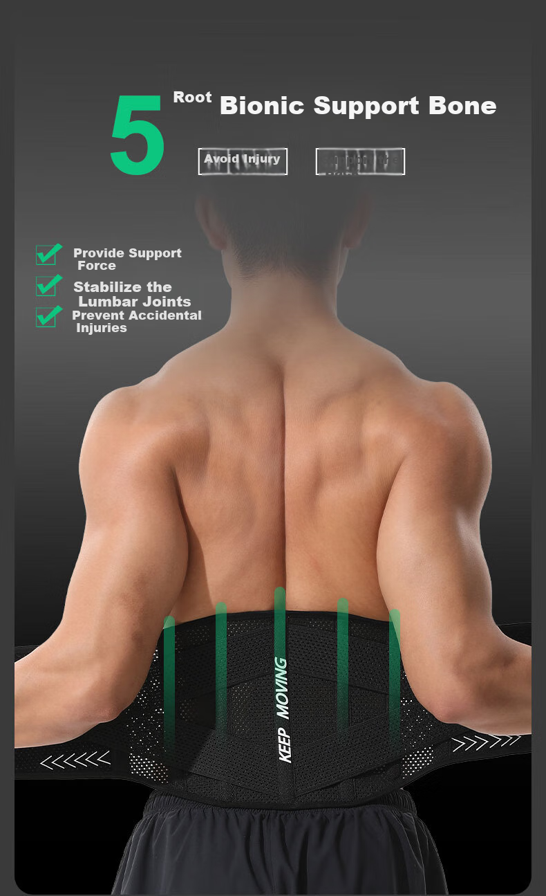 ANTA Back Support Belt for Men And Women, Universal Lumbar Disc Herniation Strain Prolonged Sitting Waist Belt Fitness Running Hiking Protective Waist Brace 4