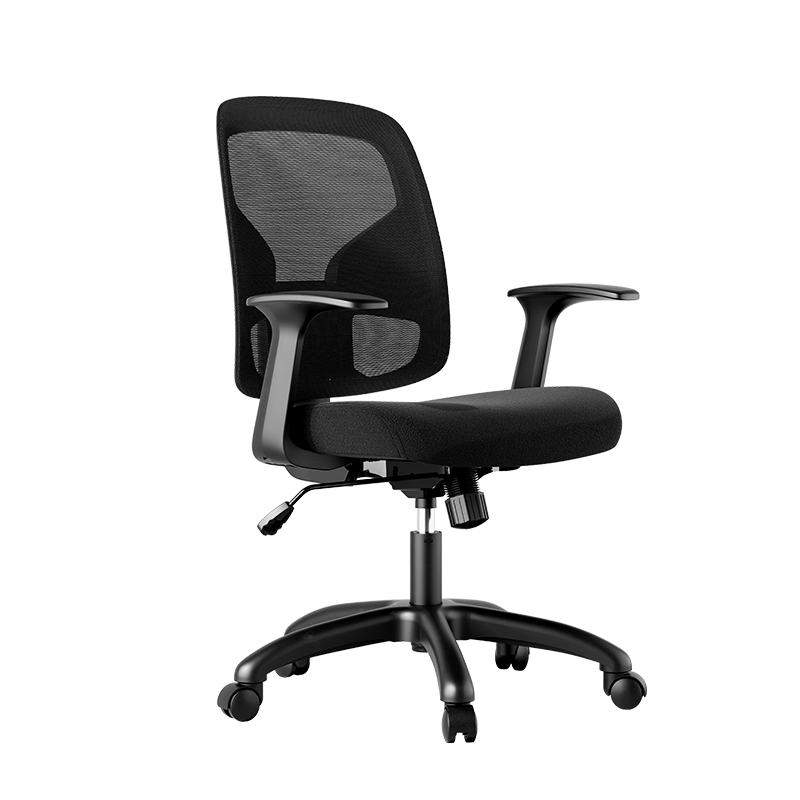 Deli 4900SP Ergonomic Office Chair with Backrest, Comfortable Tilt, Adjustable Height, And Comfortable Cotton Seat Cushion, Black