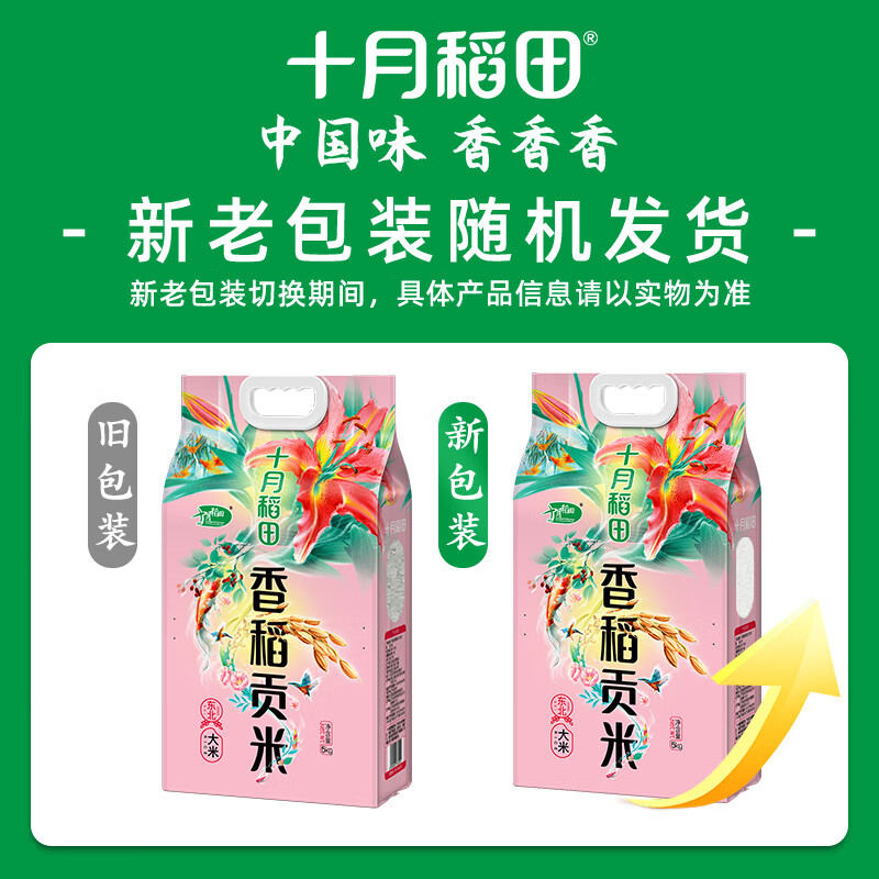 十月稻田 十月稻田 当季新米 香稻贡米 东北大米 5kg（香米 粳米十斤）