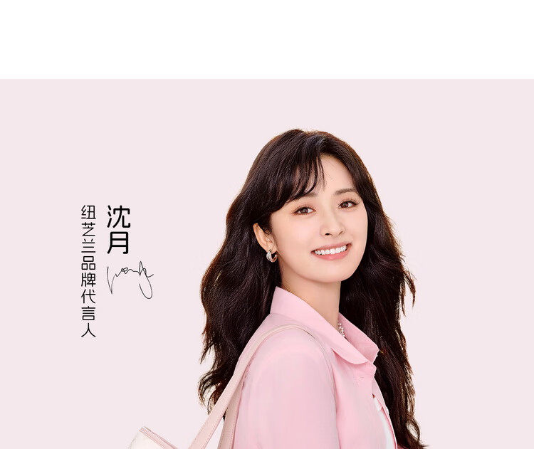 NUCELLE Angelababy Style Pegasus Tote Bag, 2026 Shoulder And Handheld Large Capacity Commuter Bag for Women, Birthday Gift 4
