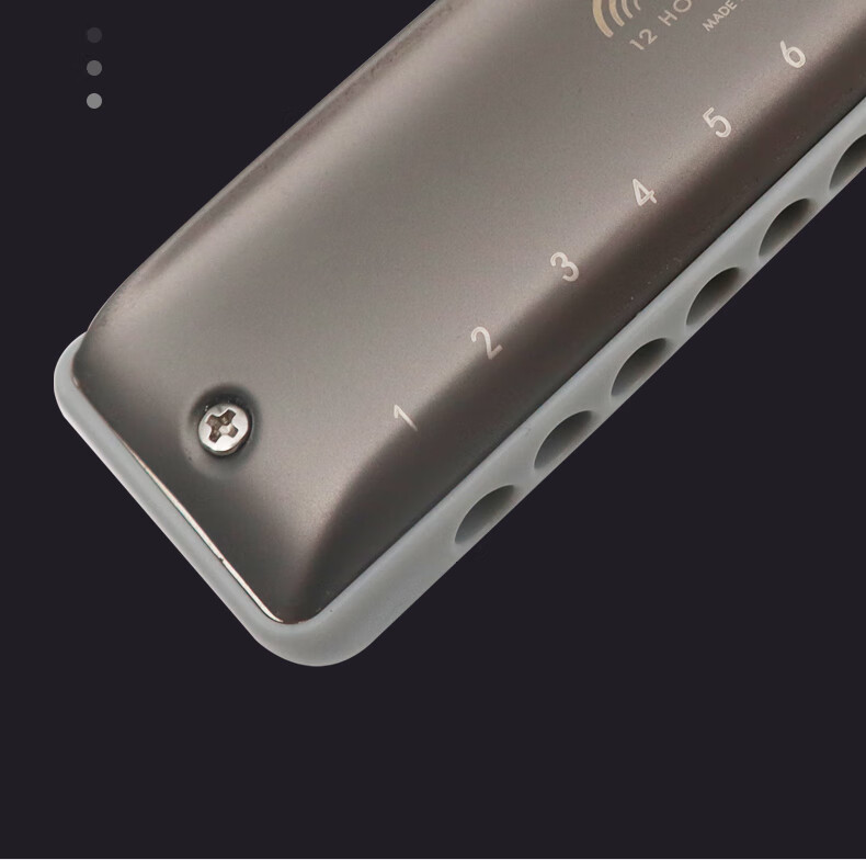 KONGSHENG 12-Hole C Key Full Scale Blues Harmonica Beginner Entry-Level Children Adult Professional EZ-12 Silver 9