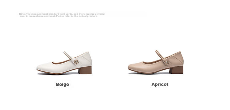 ZHR Women's Single Shoes Elegant One-Strap Mary Jane Shoes with Chunky Heel Fashionable Women's Shoes AH506 Apricot Color Size 36 9