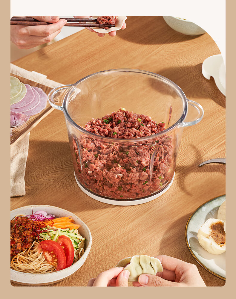 AUX Meat Grinder for Home Use, Mincer, Electric Multi-Functional Food Mixer, Meat Chopper, Dumpling Filling And Garlic Paste Maker, Meat Mixer JR116 10
