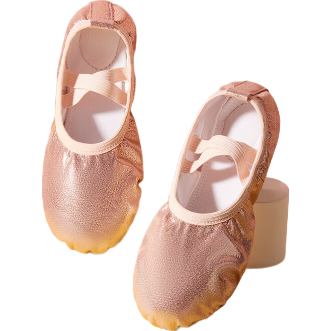 TIEJIAN Dance Shoes for Girls, Ballet And Body Movement Practice Shoes, Toddler Slip-On Chinese Dance Cat Paw Shoes, Pink, Size 26